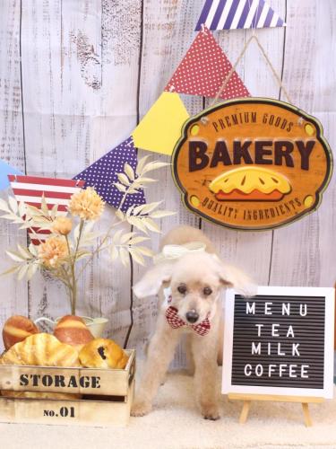 20240908桃果ちゃん